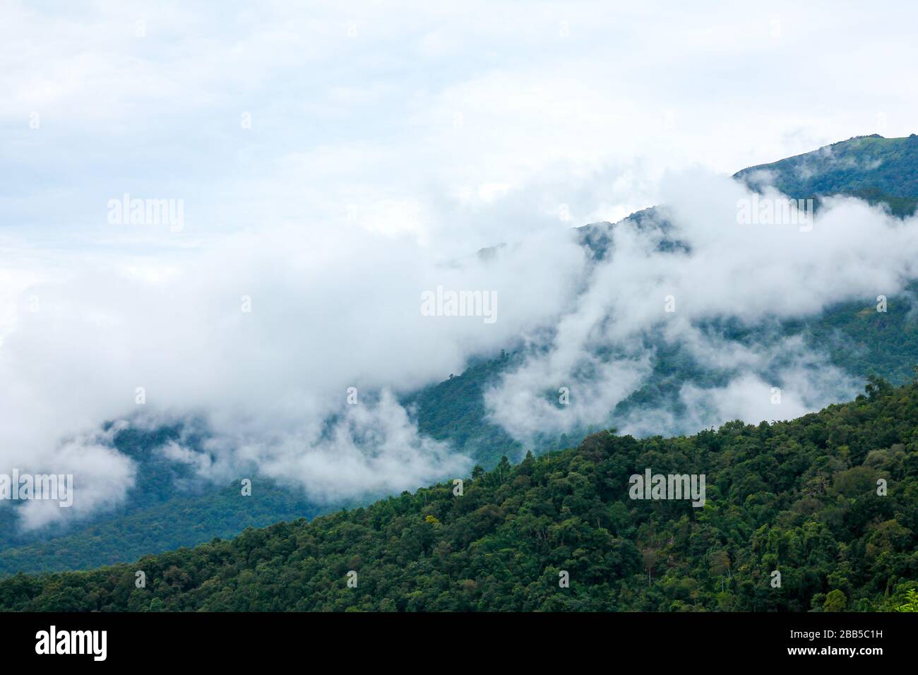 Hohe Berge mit dichten Bäumen. Ist ein fruchtbarer Berg, sehen Sie die Ebene der weißen Wolken und den Himmel als Hintergrund Stockfoto