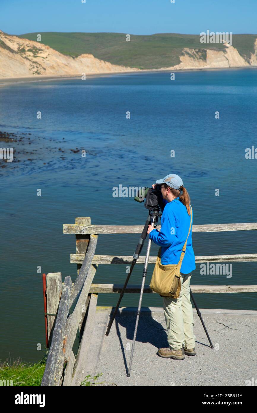 Elephant Seal Overlook, Point Reyes National Seashore, Kalifornien Stockfoto