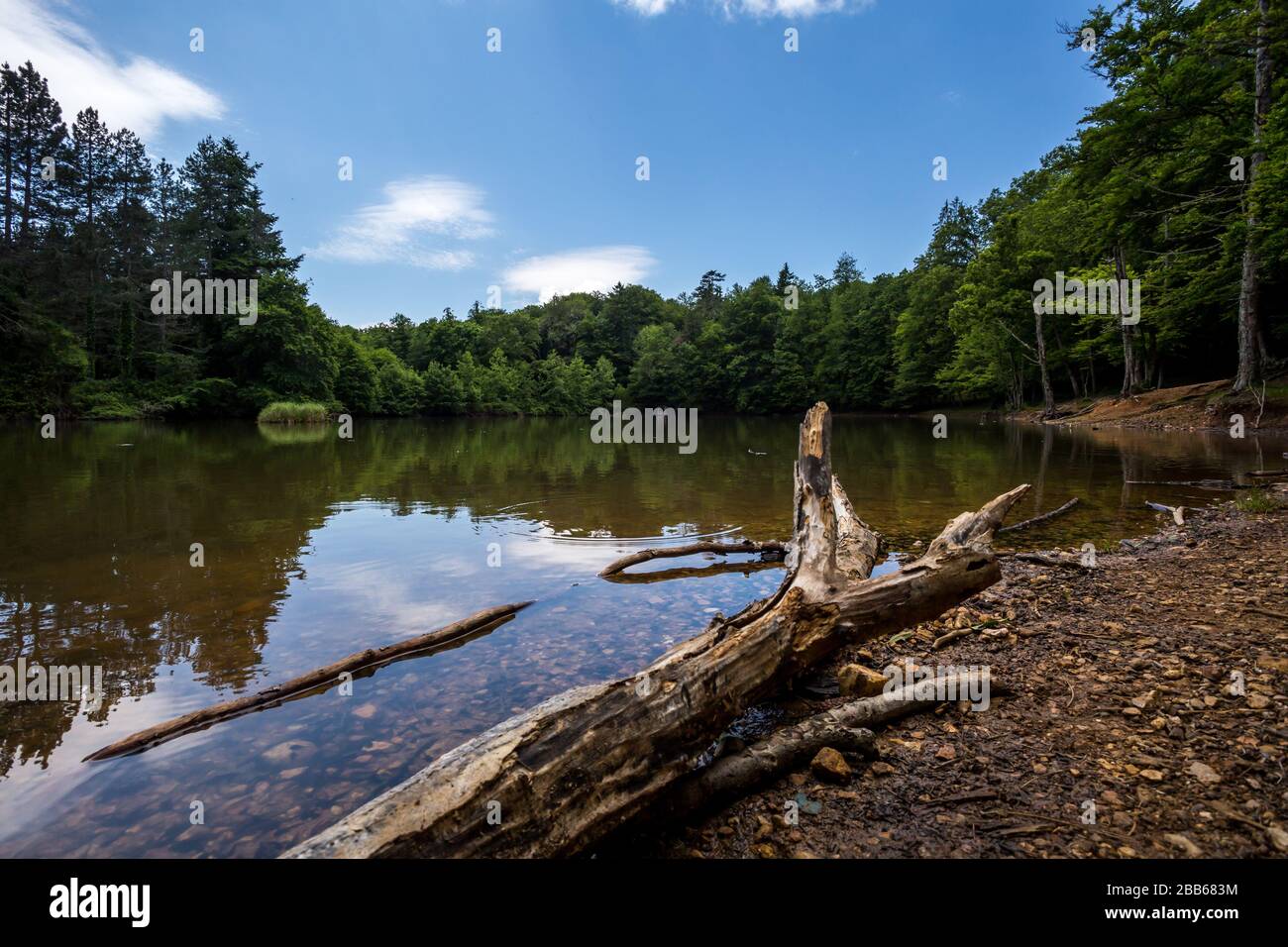 Einen malerischen kleinen See in Umbra, einem Naturpark Teil des Gargano Nationalpark und UNESCO-Weltkulturerbe, Apulien, Italien Stockfoto