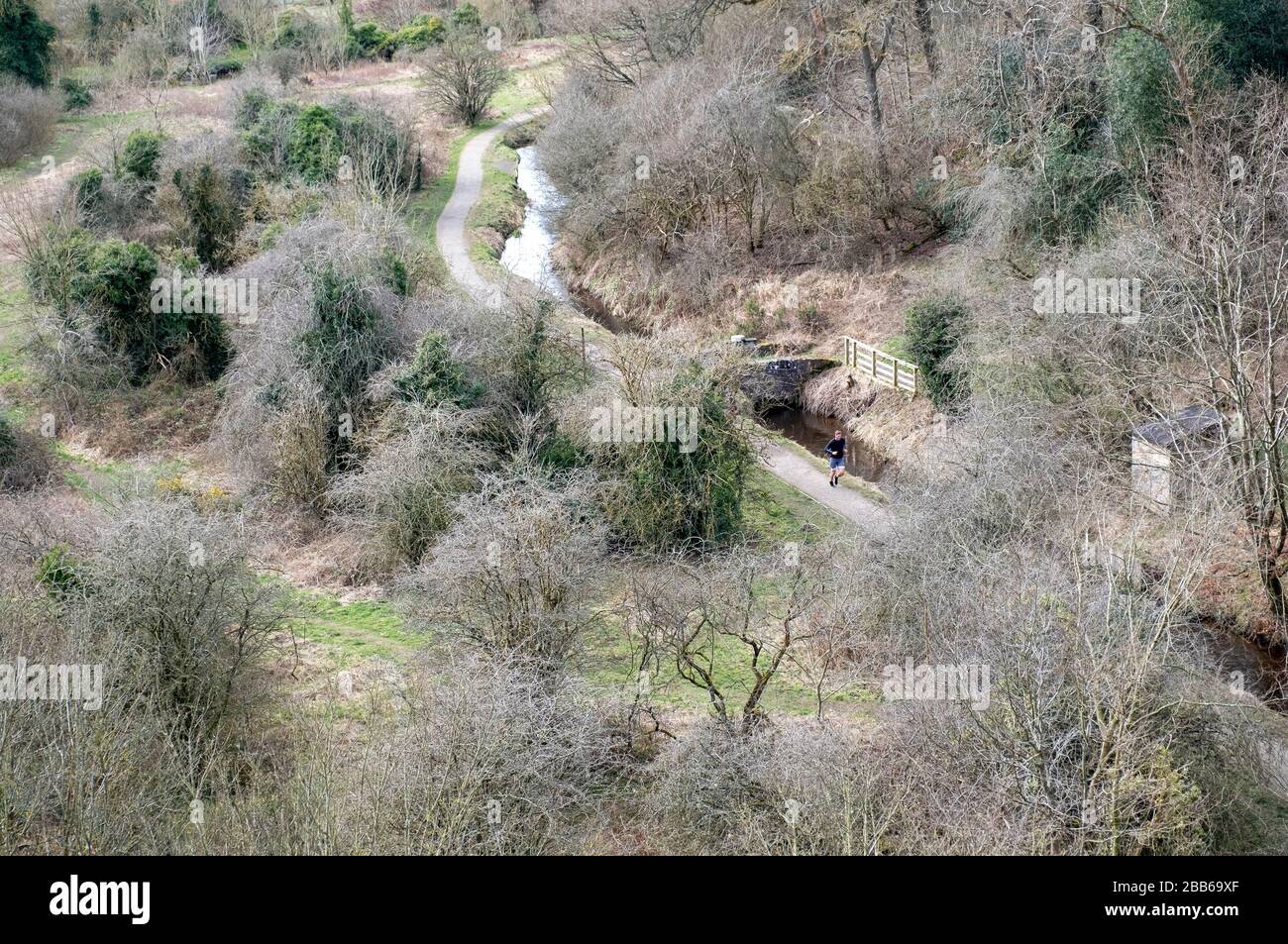Ein einbeinige Läufer, die im Almondell Landschaftspark, West Lothian, trainieren. Stockfoto