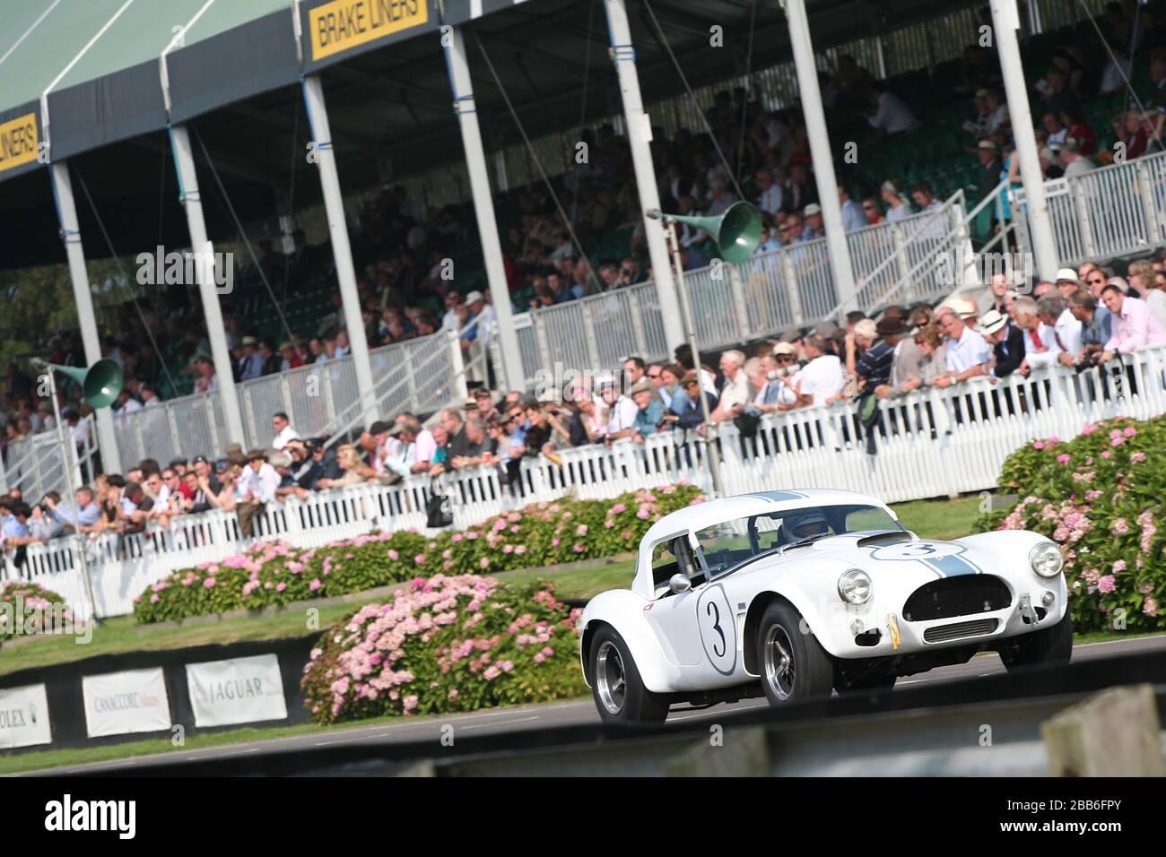 2009 GOODWOOD Revival - das Rennen der RAC TT - eine 1962 AC COBRA passiert die Tribünen Stockfoto