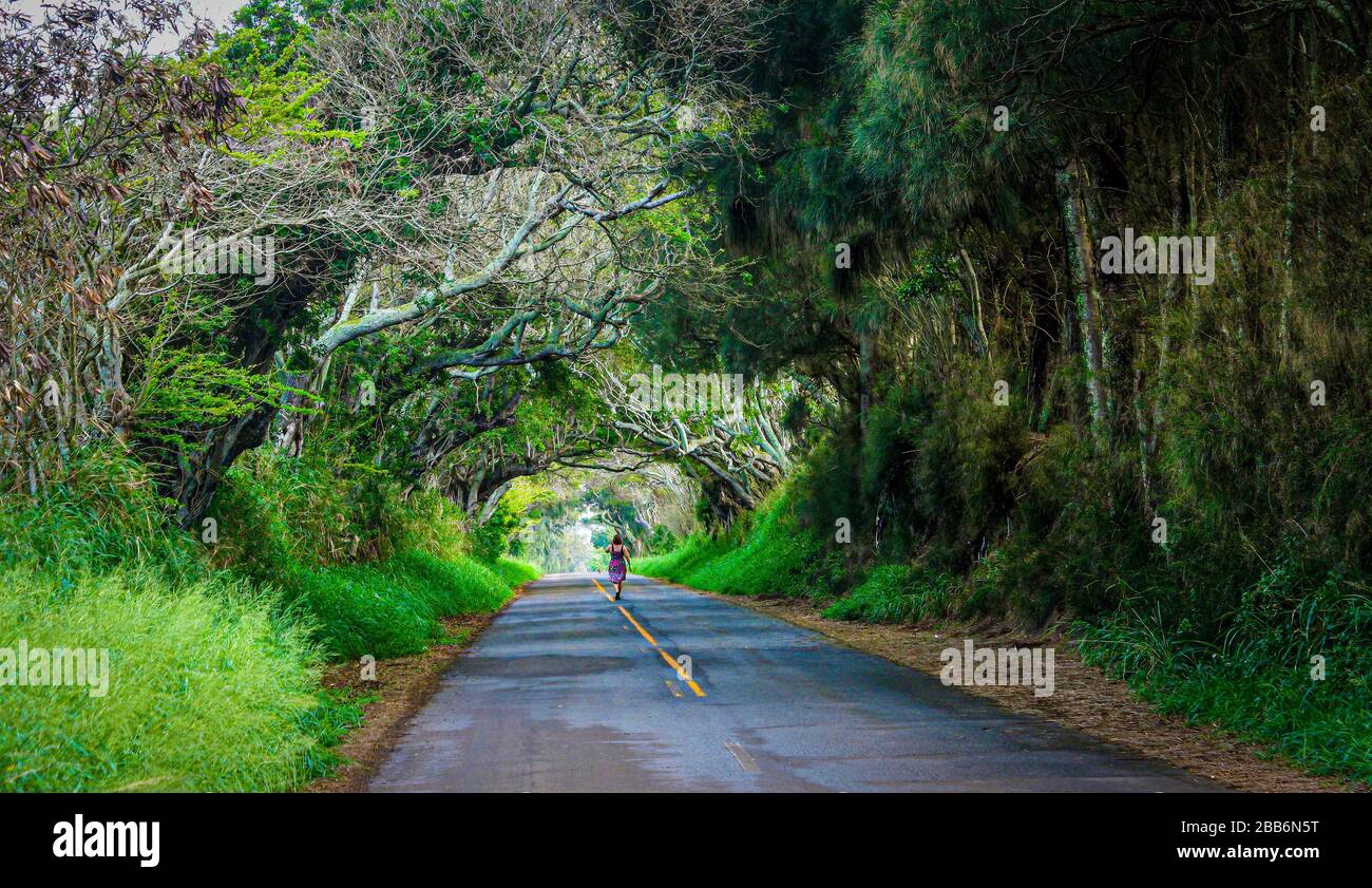 Frau, die mitten auf einer Straße joggt, Maui, Hawaii, USA Stockfoto