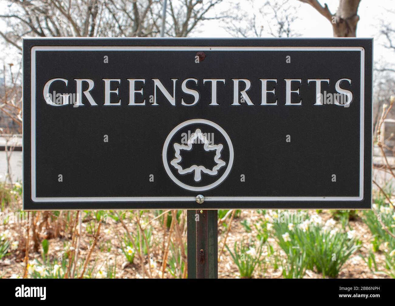 Ein Schild auf einer Straßeninsel, das das Greenstreet-Programm der Stadt New york für die Anpflanzung auf Straßeninseln wirbt, um Sturmwasser zu erfassen und umzuleiten Stockfoto
