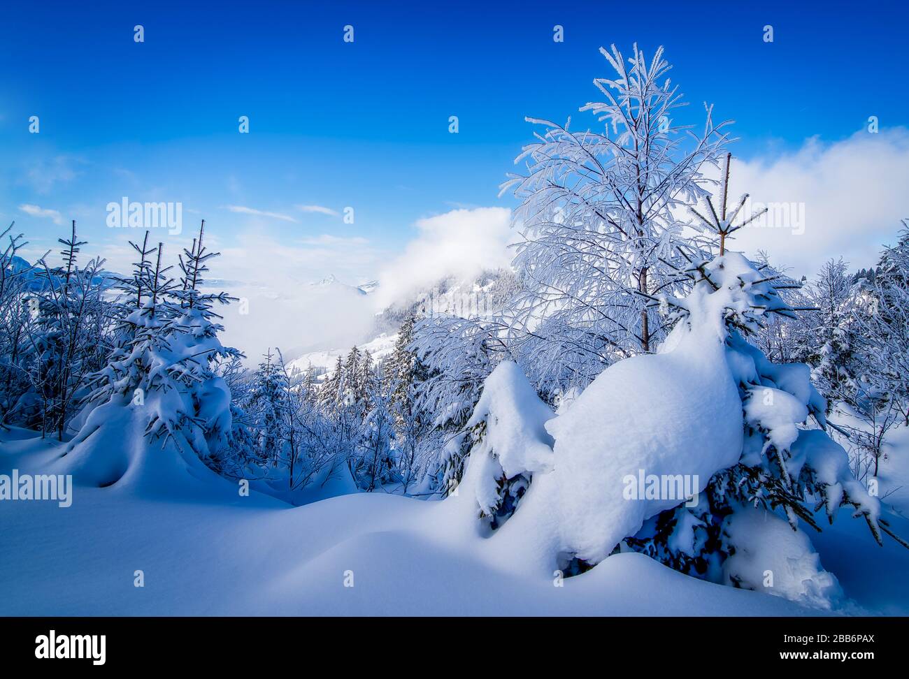 MT Ibergeregg im Schnee, Schwyz, Schweiz Stockfoto