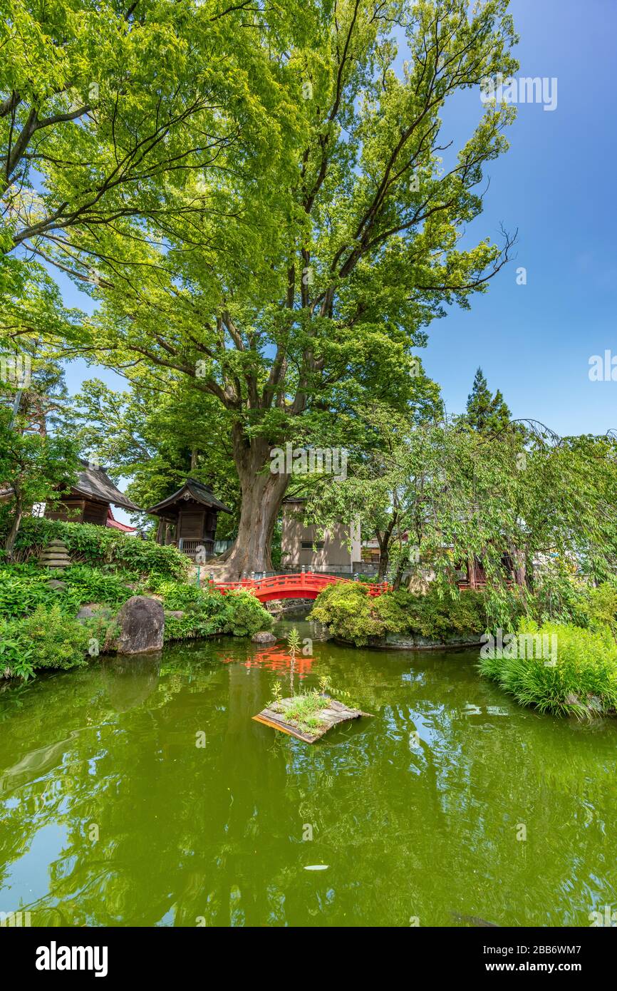 Sannohiejinja Fotos und Bildmaterial in hoher Auflösung Alamy