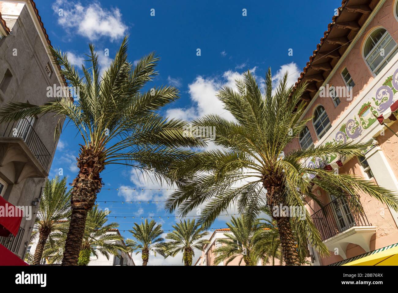 Schöne bunte Gebäude und Palmen auf blauem Himmel Hintergrund. Architekturkonzept. Stockfoto