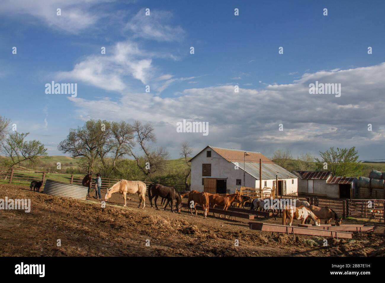 Ein Rancher haltert seinen Reittier für die Tagesarbeit in der Ranch-Zentrale. Stockfoto