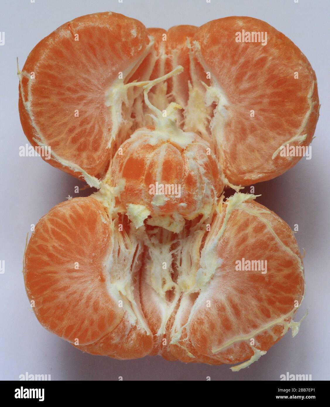 Baby satsuma Stockfoto