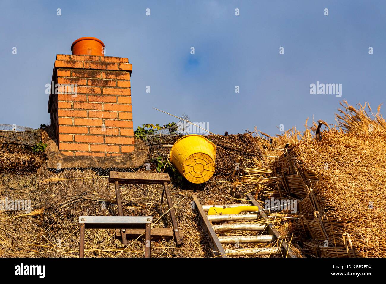 Thatching, Thatch, Devon Longhouse, Stockfoto