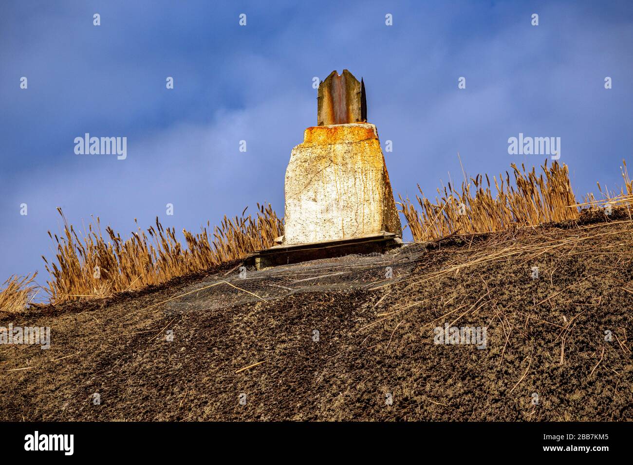 Strohdach,Strohdach,Devon Longhouse,Architektur, Blau, Britische Kultur, Gebäude Außenansicht, Nahaufnahme, Cottage, Devon, England, Englische Kultur, Horizonta Stockfoto