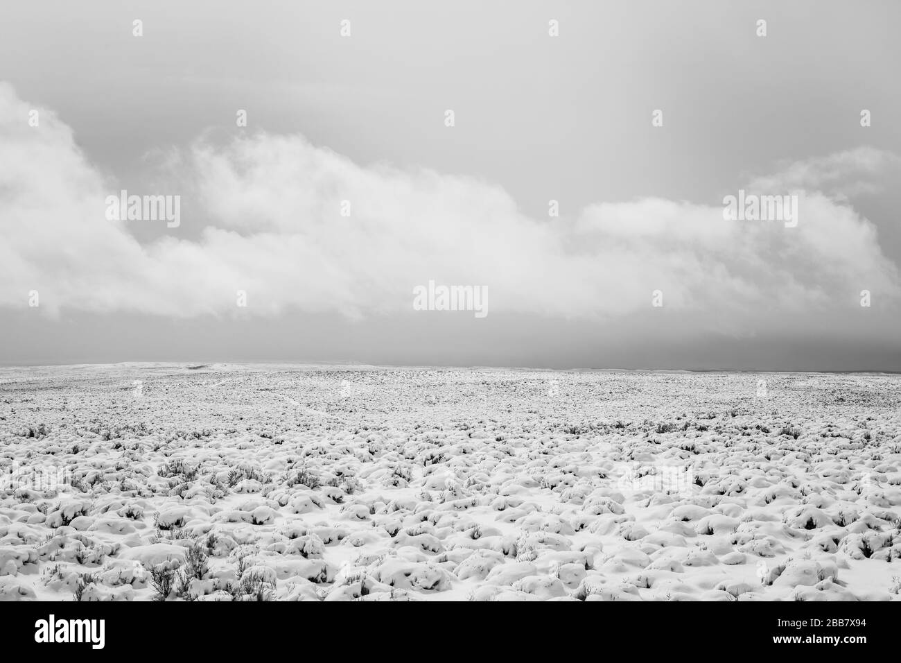 Offene Sagebürstenprairie im ländlichen Wyoming, bedeckt mit Neuschnee im Frühling. Stockfoto