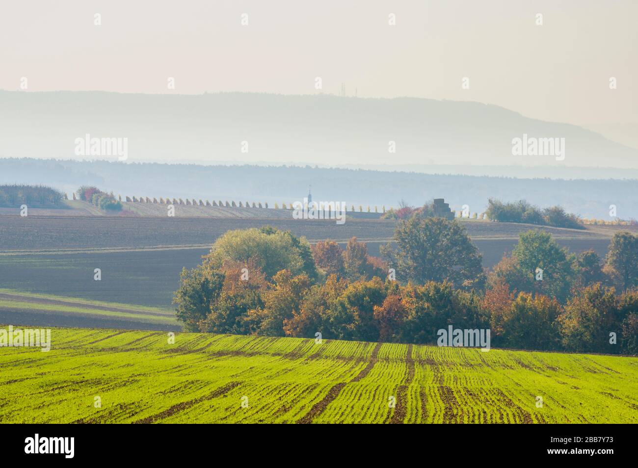 Bunte Landschaft in Unterfranken mit Herbststimmung und Herbstfarben im Weinberg im Morgennebel Stockfoto
