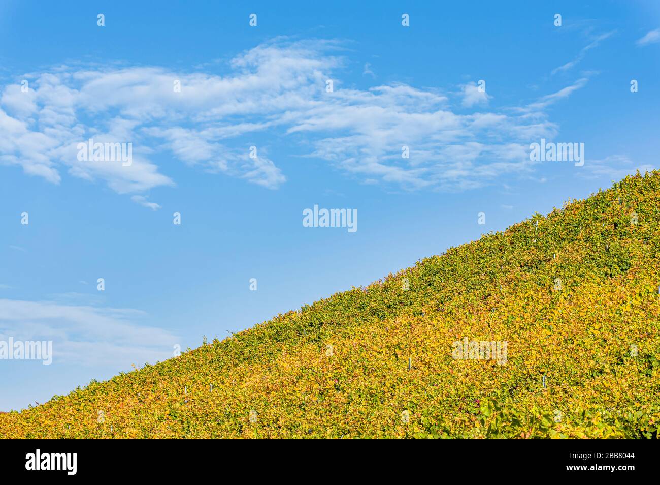 Weinberge und Landschaft in Unterfranken im Herbst mit bunten Blättern in typischen Herbstfarben nach dem Jahrgang bei Sonnenschein, blauem Himmel, kleinem Whit Stockfoto