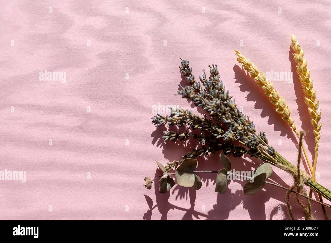 Ein Haufen Lavendel, violette Lavendelblüten, die auf rosa Hintergrund angeordnet sind. Draufsicht, flacher Lay. Minimales Konzept. Trockene Blumen, Pflanzen Blumenzusammensetzung Stockfoto