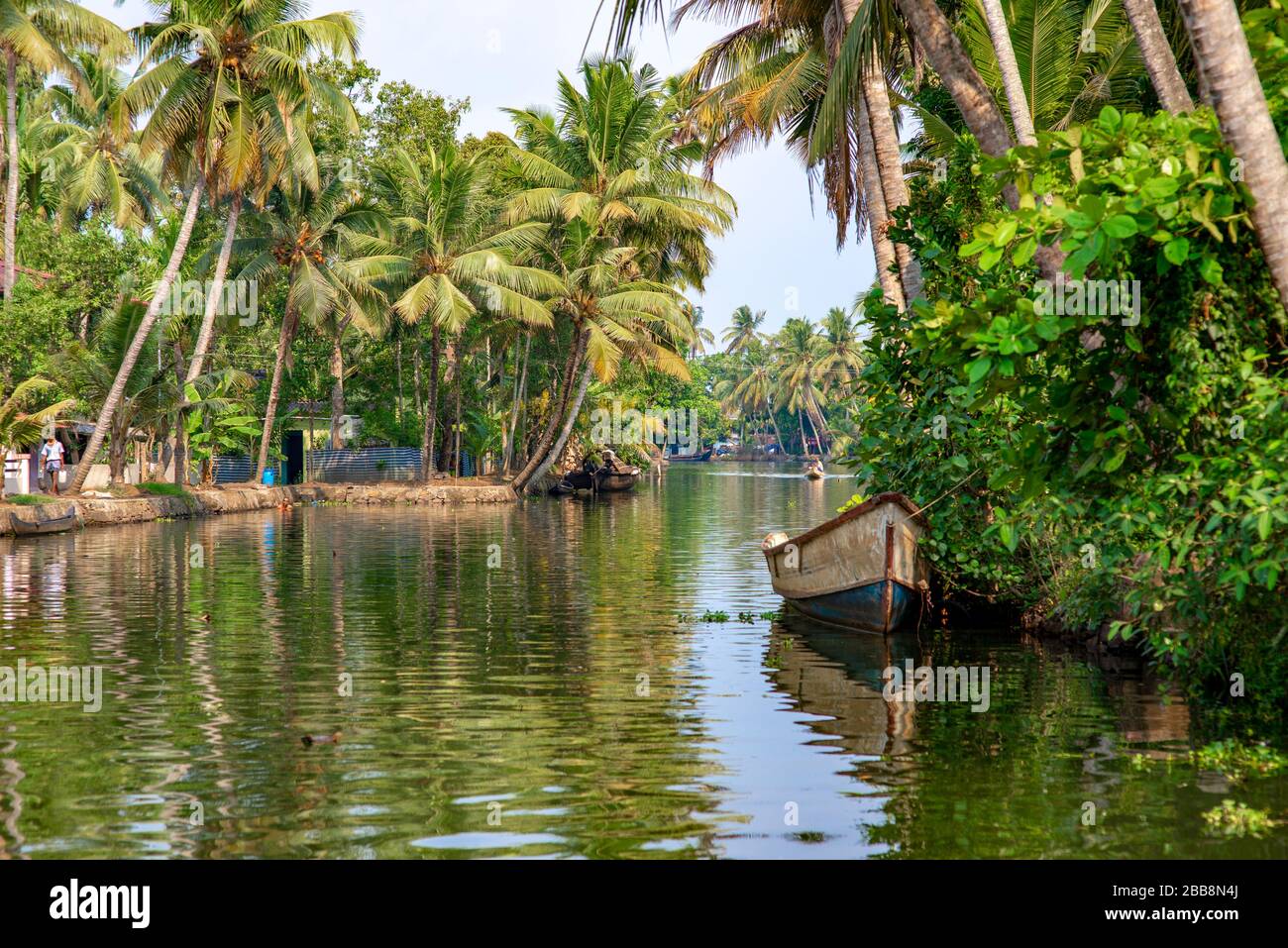 Alleppey, Kerala, Indien - 30. März 2018: Backwaters Kanal mit Palmen. Am Morgen mit einem kleinen Boot von af auf die Kamera gebracht Stockfoto