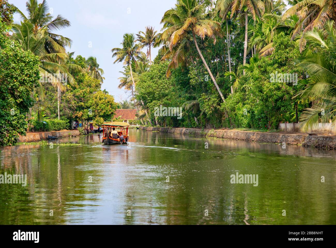 Alleppey, Kerala, Indien - 30. März 2018: Backwaters Kanal mit Palmen. Am Morgen mit einem kleinen Boot von af auf die Kamera gebracht Stockfoto