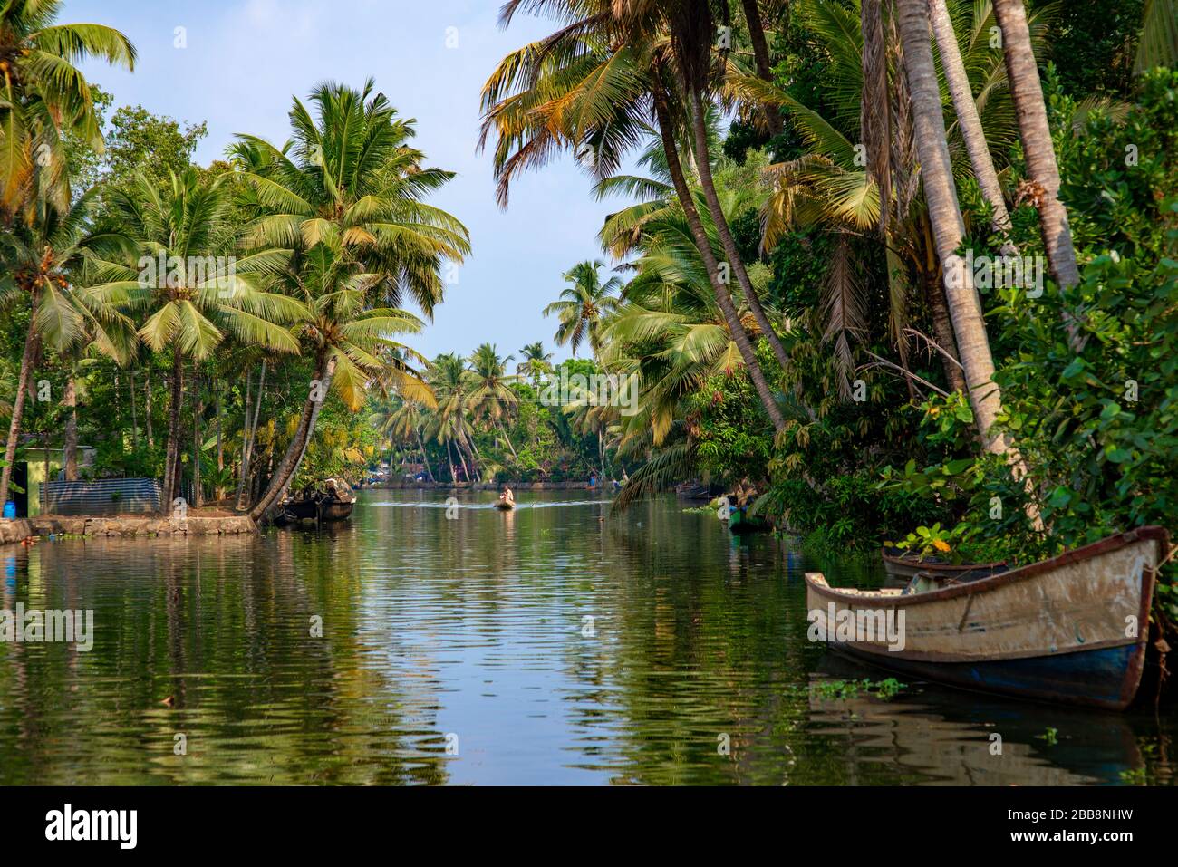 Alleppey, Kerala, Indien - 30. März 2018: Backwaters Kanal mit Palmen. Am Morgen mit einem kleinen Boot von af auf die Kamera gebracht Stockfoto