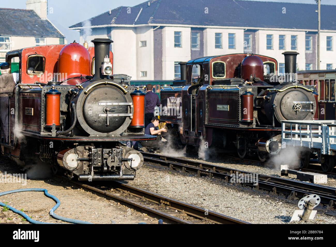 Die Ffestiniog Railway im Jahr 2010 Stockfoto