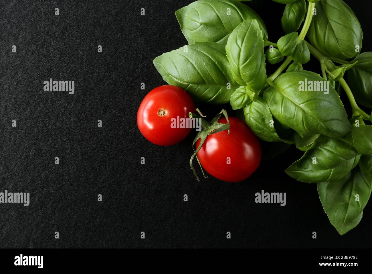 Frische Cherry Tomaten mit Bund frischem Basilikum. Schwarzer Hintergrund, flaches Lay, Nahaufnahme Stockfoto