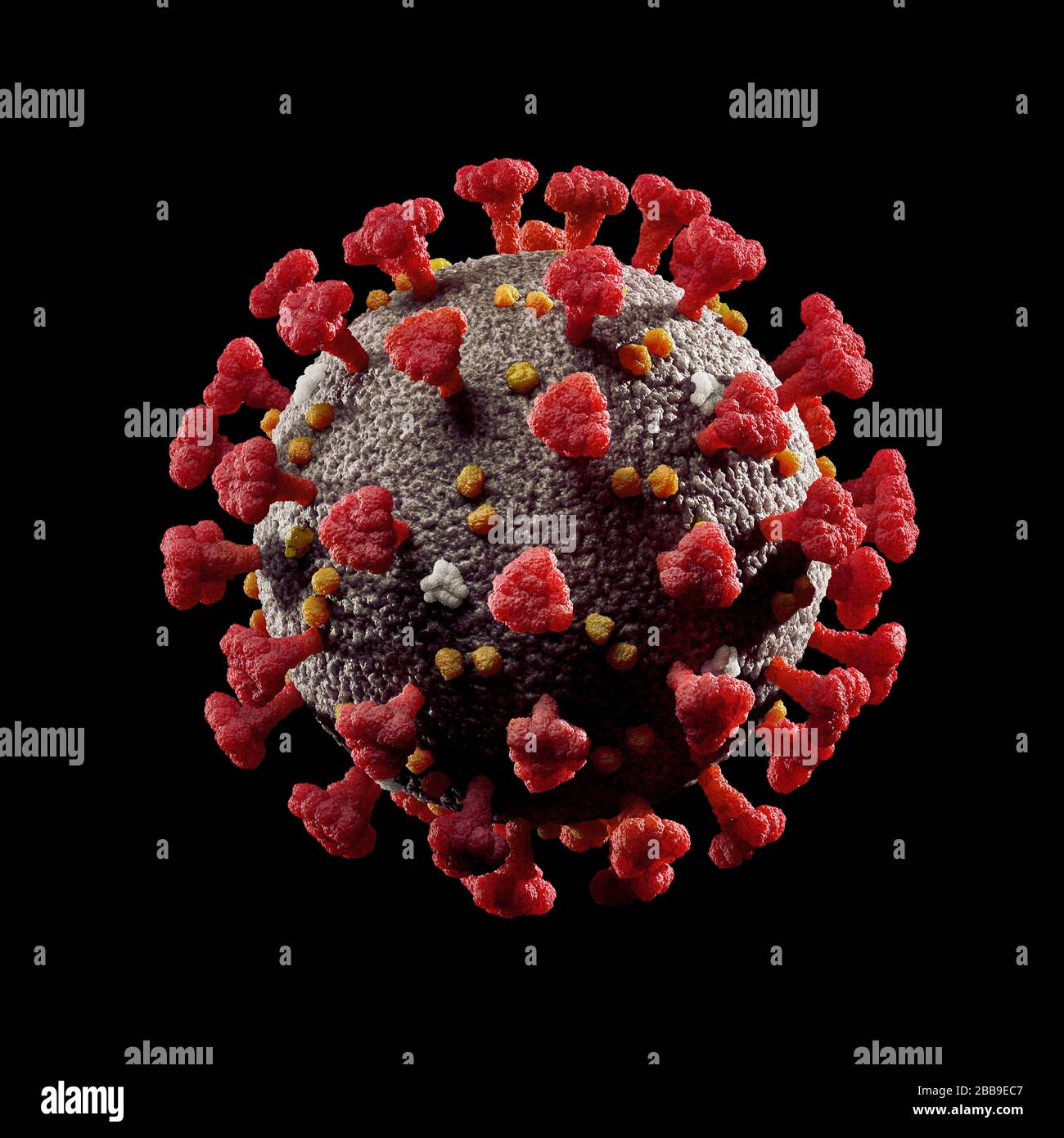 Coronavirus, COVID-19, SARS-COV-2 Corona-Viruspartikel 3D-Darstellung in Farbe isoliert auf schwarzem Hintergrund. Stockfoto
