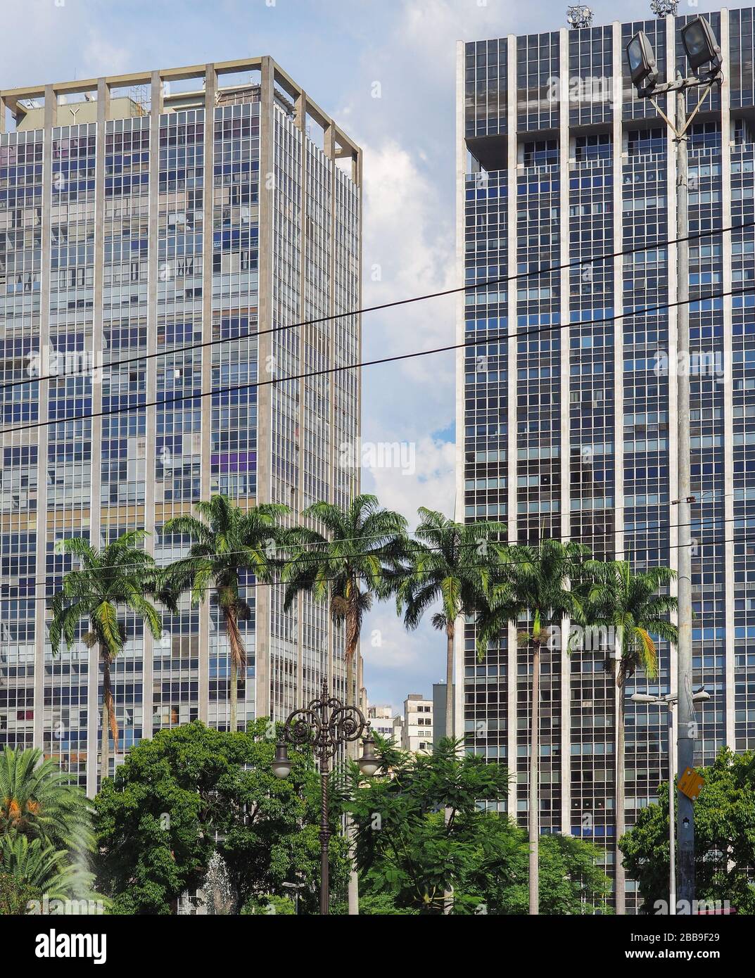 SAO PAULO, BRASILIEN - 10. JANUAR 2019: Schöne Palmen vor zwei modernen Hochhäusern. Stockfoto