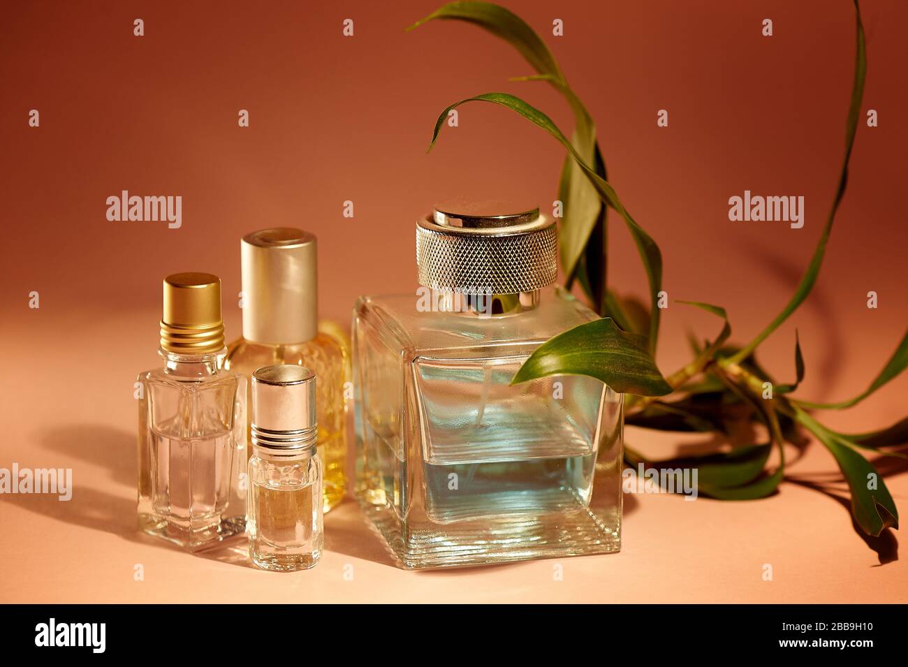 https://c8.alamy.com/compde/2bb9h10/eine-grosse-flasche-herrenparfum-und-ol-fur-den-duft-tropischer-gerucharomatherapie-parfums-2bb9h10.jpg