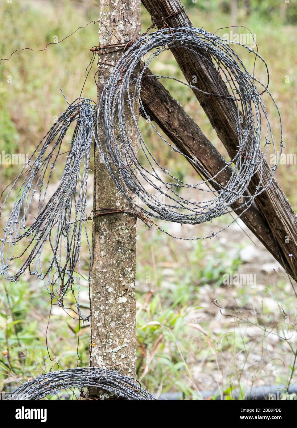 Stacheldraht auf einem alten Holzpfosten aufgerollt. Stockfoto