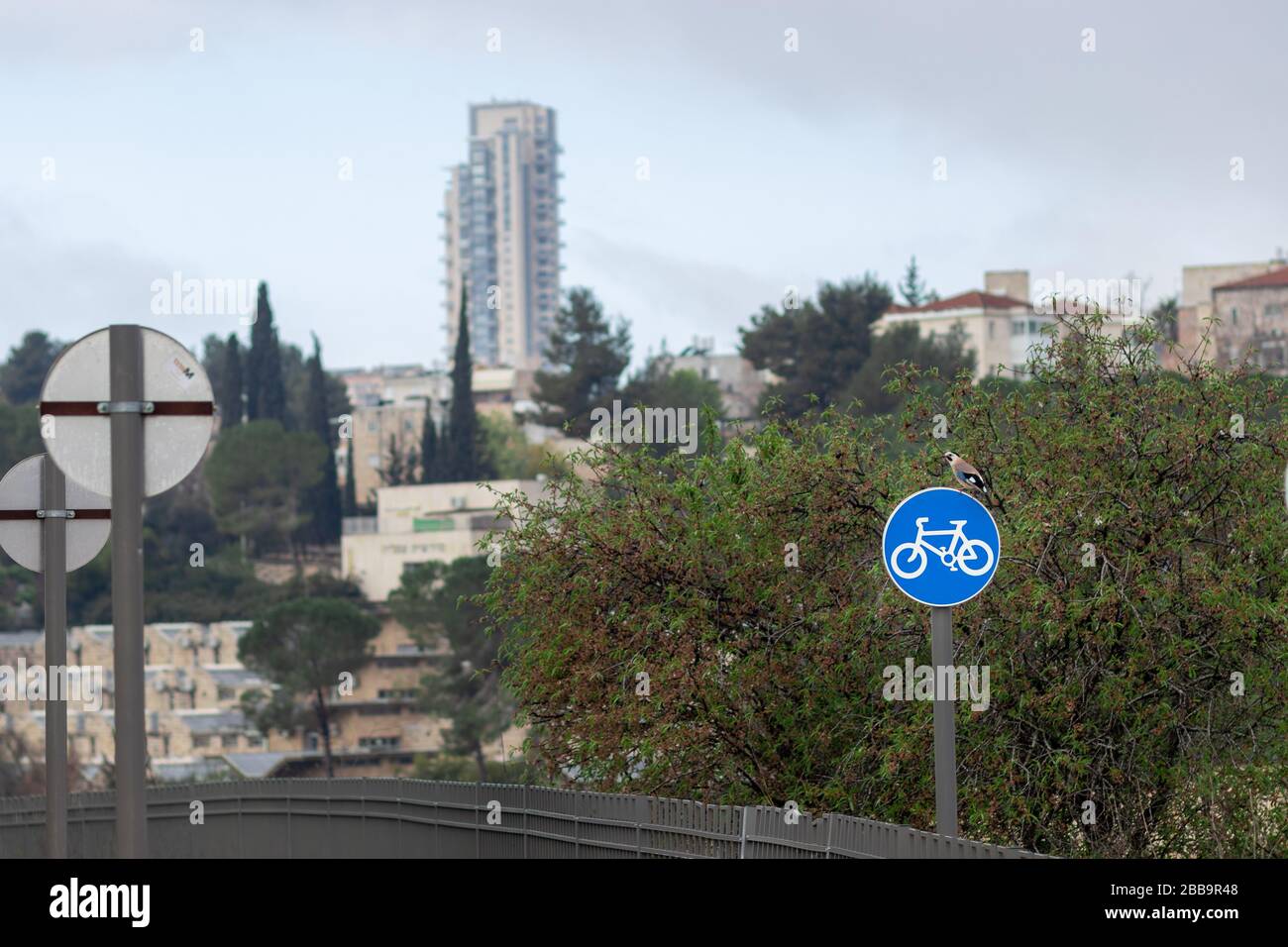 Blue Road Sign, Israel - Trail für Radfahrer. Garrulus oben sitzend, Hintergrund von Bäumen und Gebäuden Stockfoto