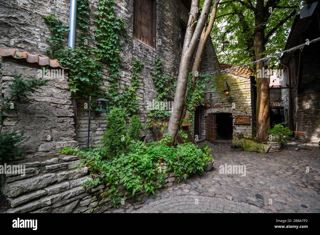 Der Innenhof des Dominikanischen Klosters St. Katharina, eines der ältesten Gebäude im Estnischen Altstadtviertel von Tallinn. Stockfoto