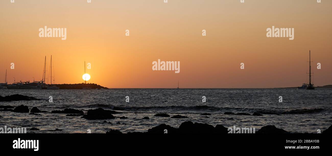 Blick auf eine Möwe, die über einen dramatischen Sonnenuntergang im Hafen von Punta del Este, Maldonado, Uruguay, fliegt Stockfoto