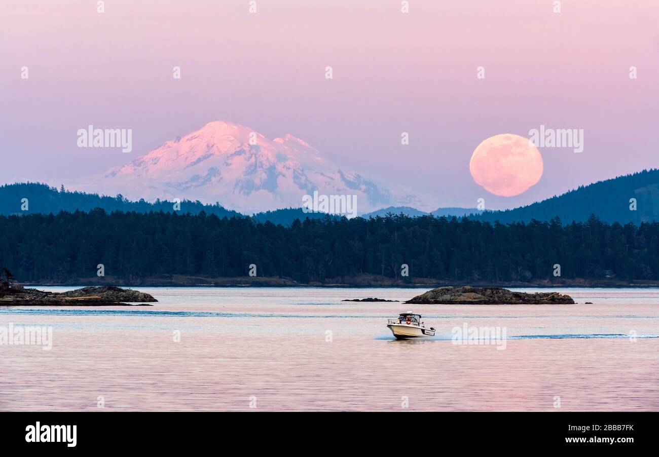 Supermoon über Mount Baker, Staat Washington (fotografiert von Sidney, BC Kanada Stockfoto