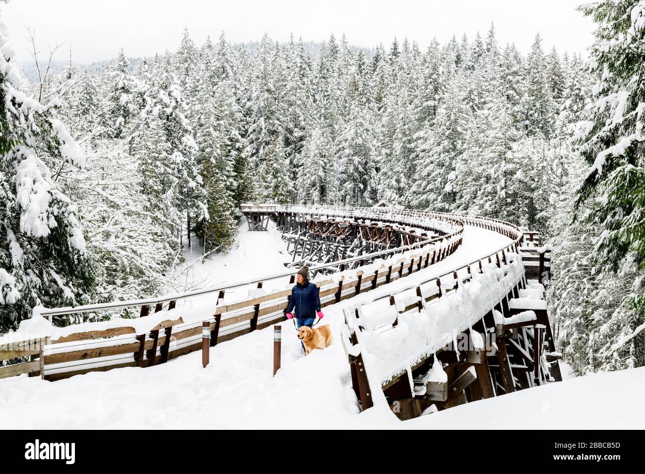 Eine Frau und ihr Hund spazieren über einen schneebespannten Kinsol Trestle in der Nähe von Shawnigan Lake, British Columbia. Stockfoto