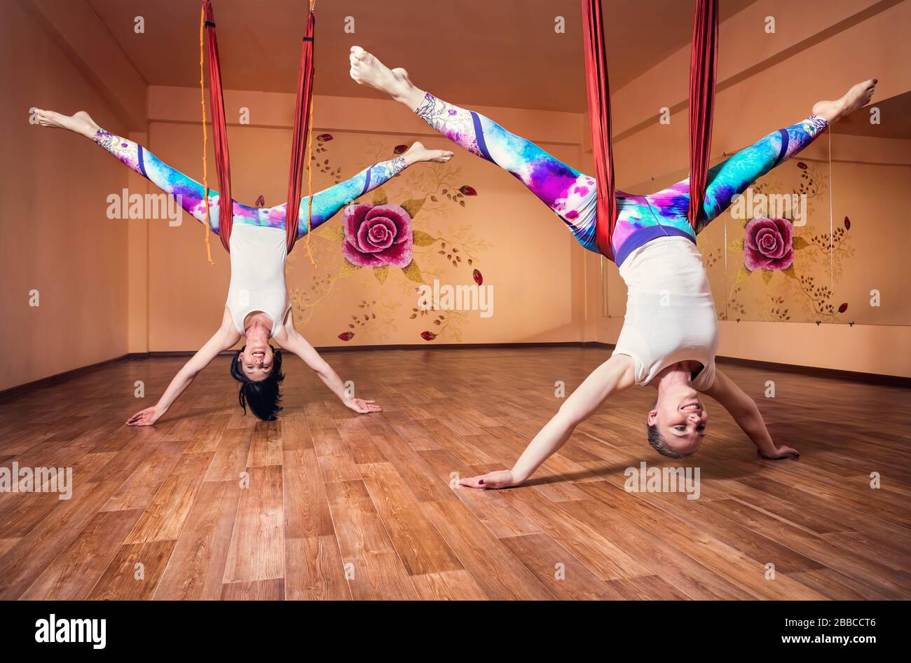 Zwei junge Frau beim Antigravity Yoga invertiert Position am Wellness-Studio mit Rose an der Wand Stockfoto