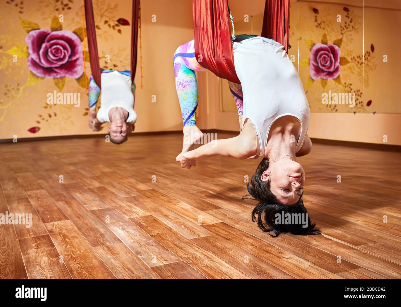 Zwei junge Frau beim Antigravity Yoga in Hängematte im Wellnessstudio mit Rose an der Wand Stockfoto