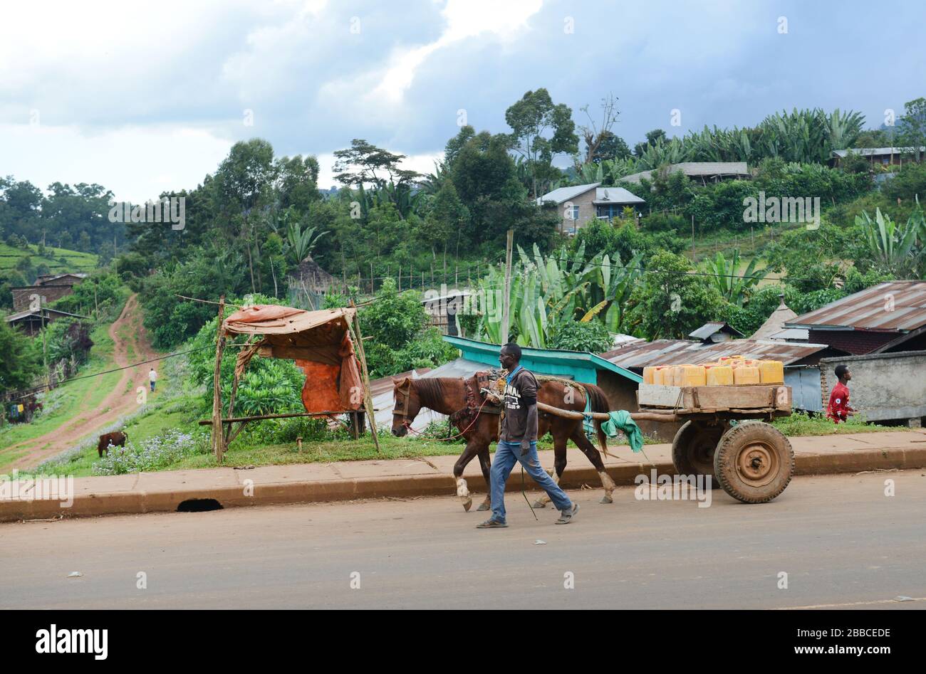 Eine Pferdekarre, die in Wusch-Wush, Äthiopien, Wasserbehälter transportiert. Stockfoto
