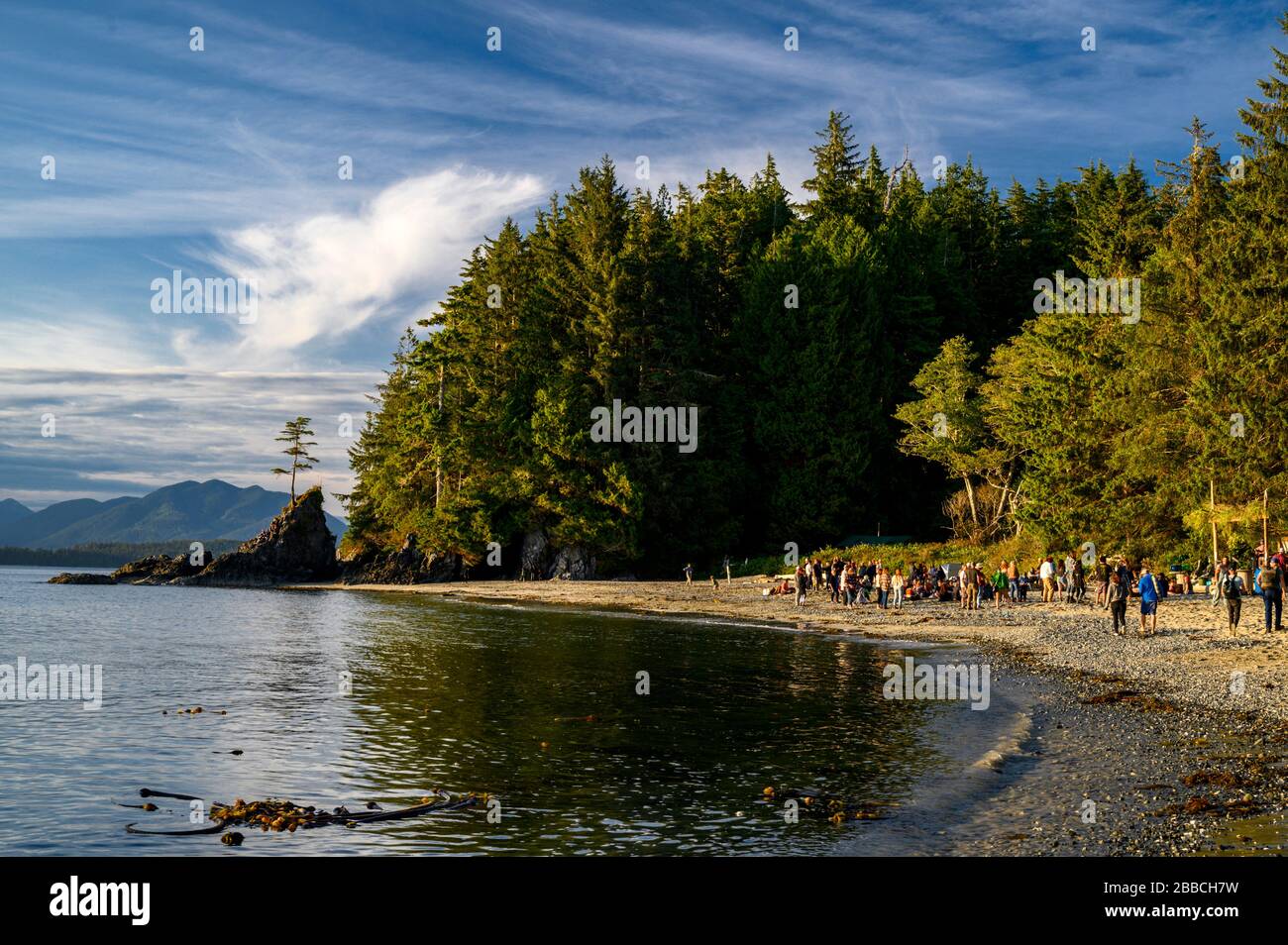 Brady's Beach, Bamfield, Vancouver Island, BC, Kanada Stockfoto