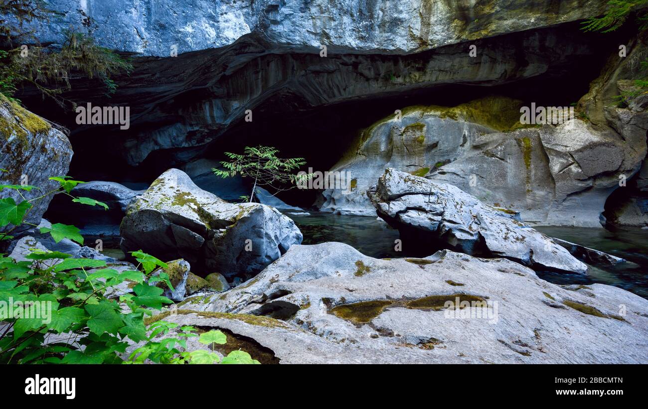 Little Huson Caves Regional Park, Vancouver Island, BC, Kanada Stockfoto