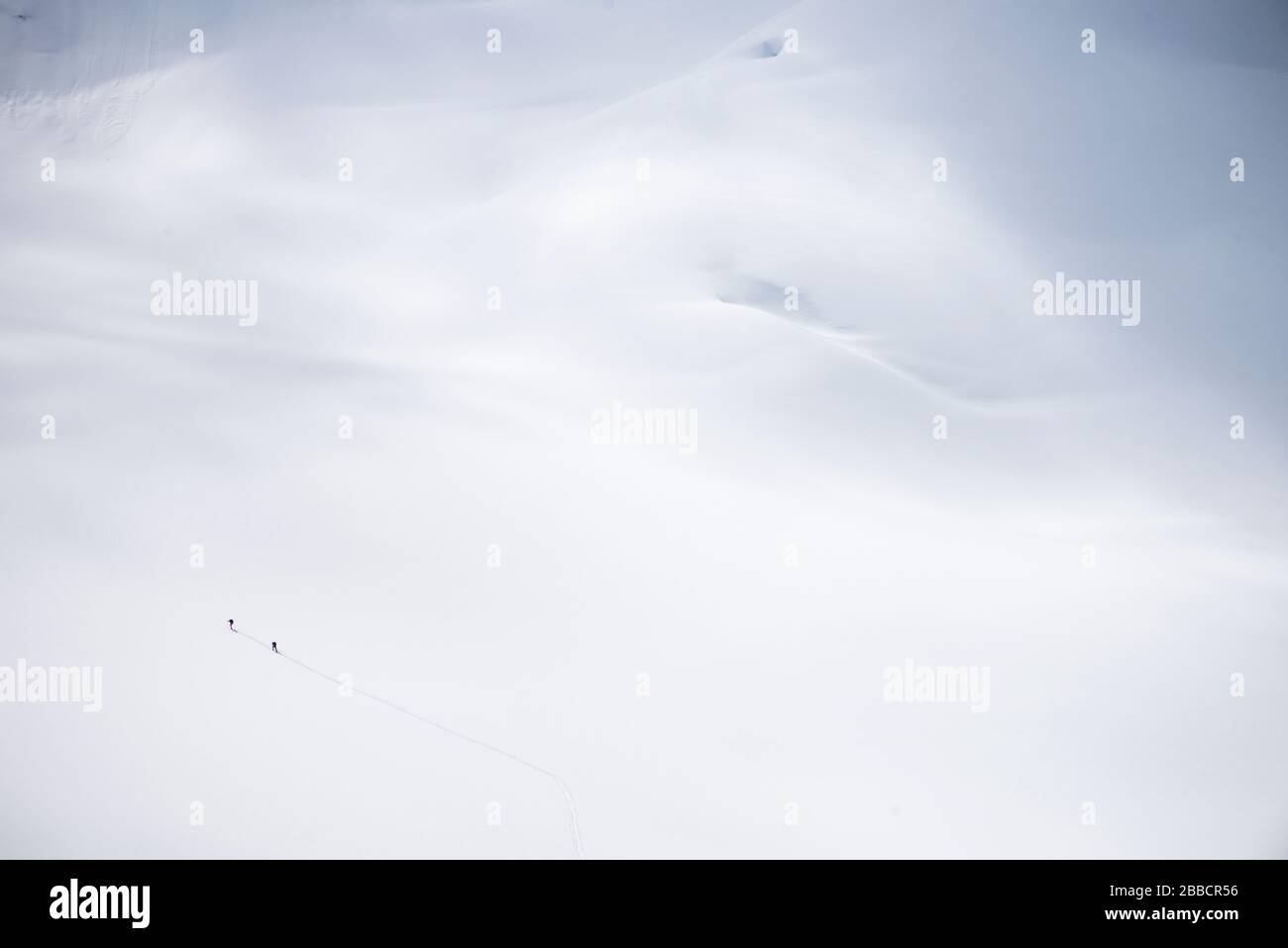 Zwei Backcountry Skifahrer auf einem Gletscher im Jumbo Valley, British Columbia Stockfoto