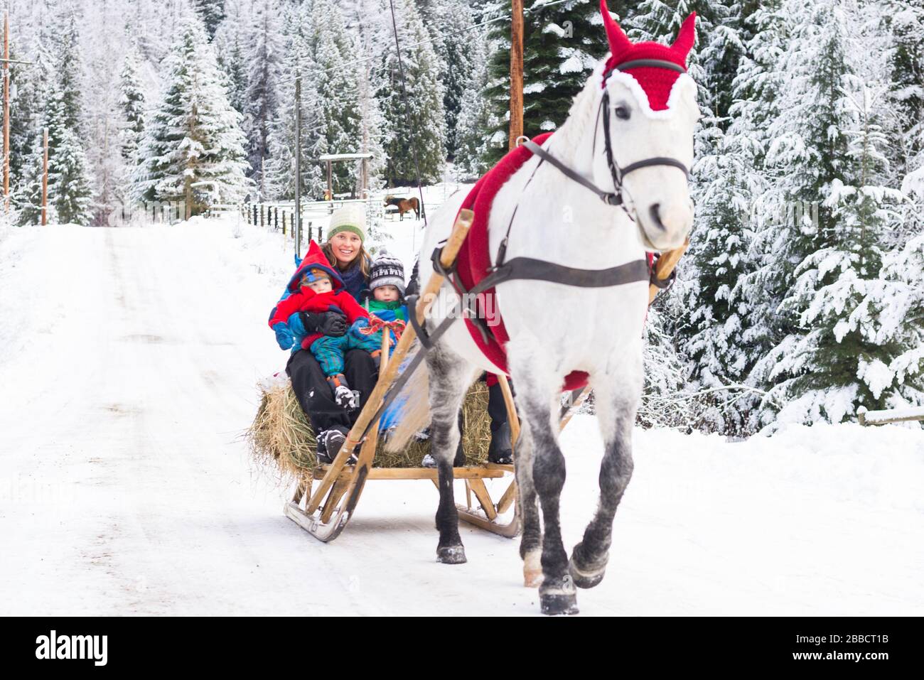 Eine Familie, die ein Pferd reitet, das in Weihnachtsgarb gekleidet ist Stockfoto