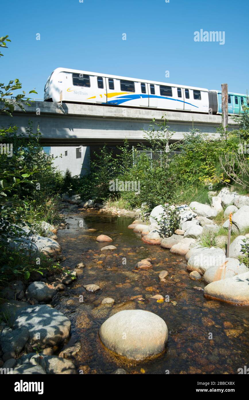 Ein Skytrain überquert den South Schoolhouse Creek in Port Moody, British Columbia, Kanada Stockfoto
