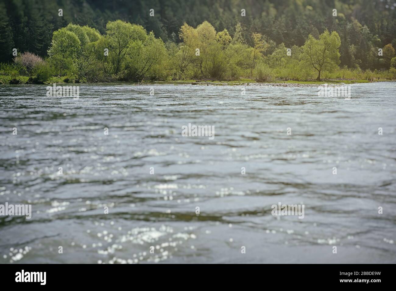 Fluss in der Nähe der Bergkuppe mit Wald. Wilde Natur. Lockal-Reise. Polen, Europa Stockfoto