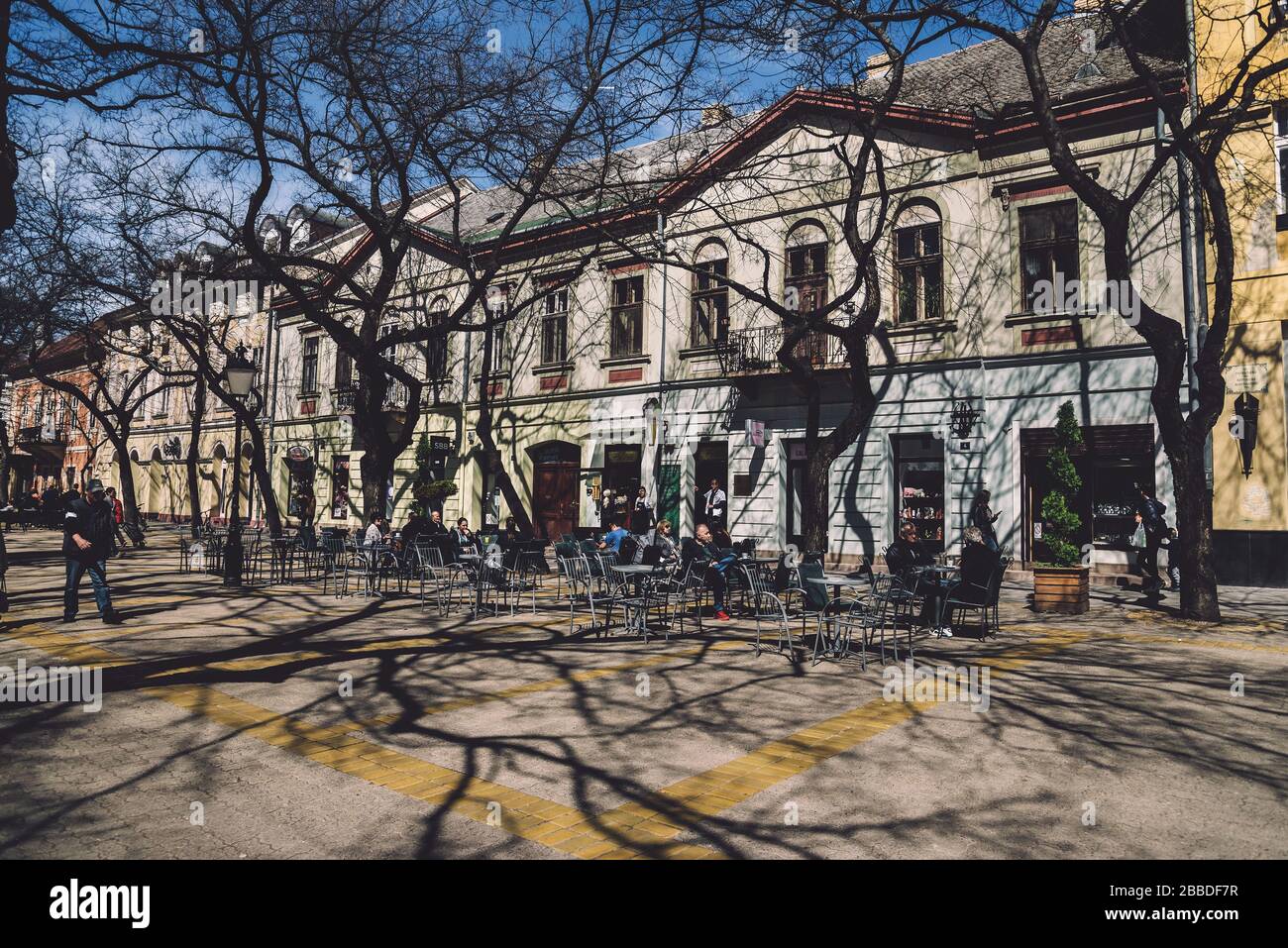 Tree Shadows and Street Cafe in Subotica Stockfoto