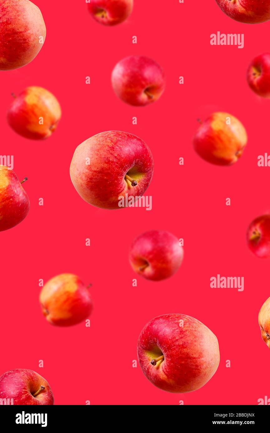 Große reife rote Äpfel fallen von oben nach unten auf monochrome Rosa. Öffnen Sie die Komposition. Nahaufnahme. Verschwommene Perspektive. Stockfoto