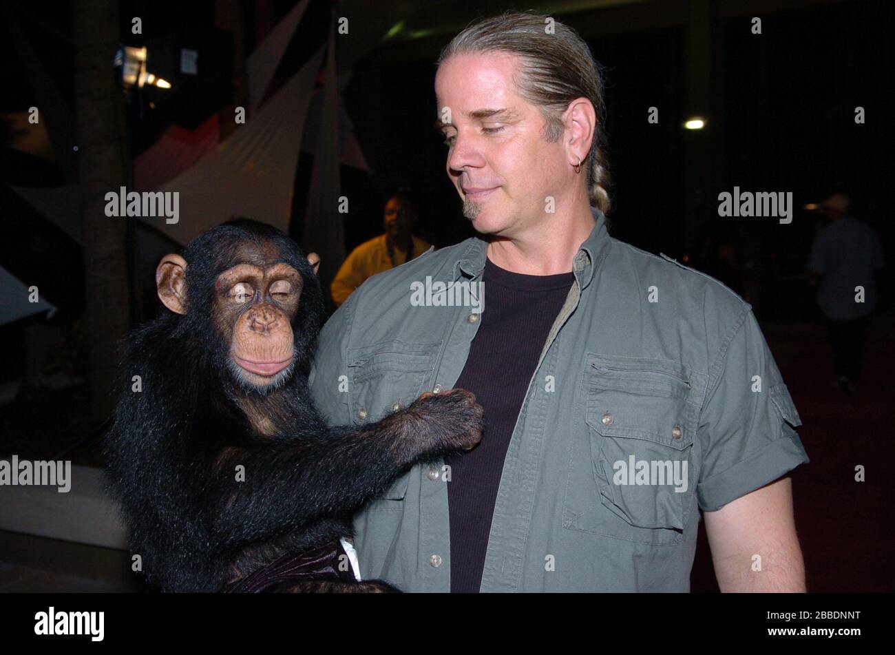 Chimpanzee Tv Stockfotos Und Bilder Kaufen Alamy