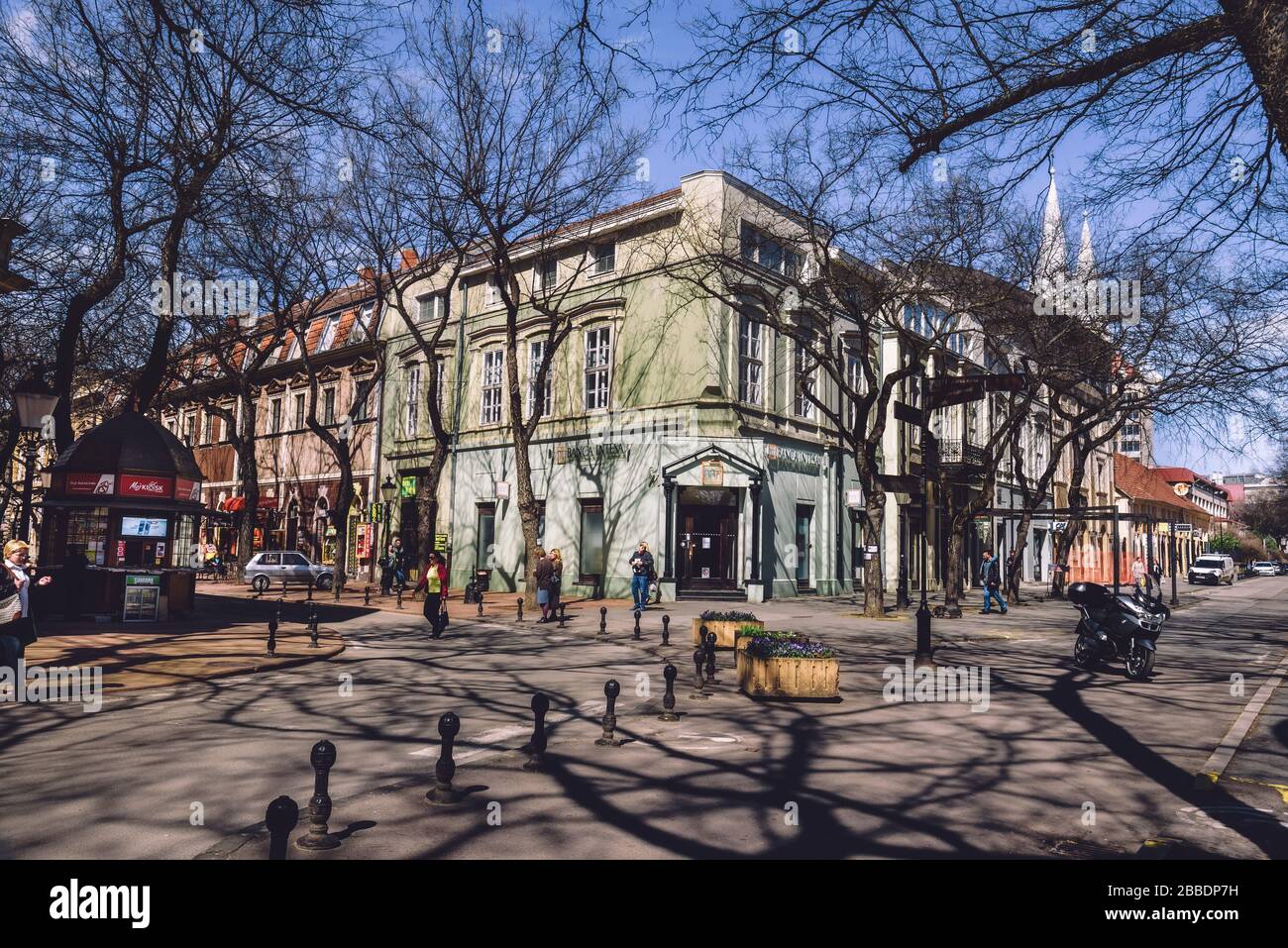 Baumschatten in der Subotica-Altstadt Stockfoto