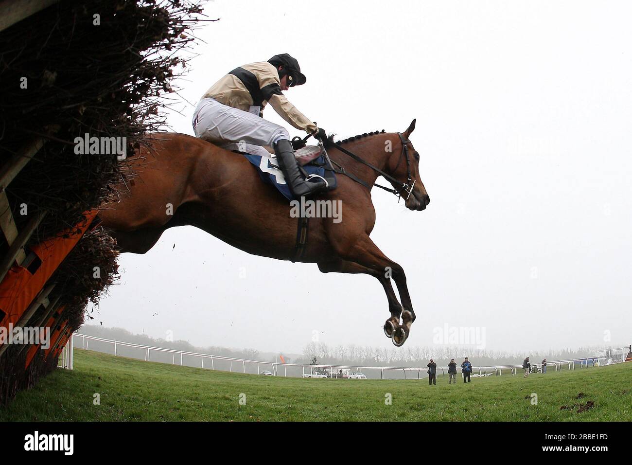 Alayir, der von Paul Moloney geritten wurde, springt als letzter in den Verkaufsraum V Davis HL Rahmen der Juvenile Hürde - Pferderennen auf Newbury Racecourse, Berkshire Stockfoto