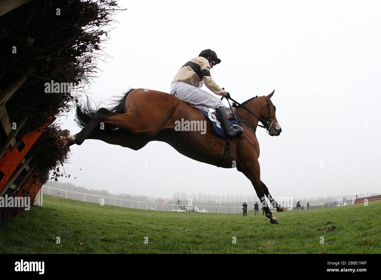 Alayir, der von Paul Moloney geritten wurde, springt als letzter in den Verkaufsraum V Davis HL Rahmen der Juvenile Hürde - Pferderennen auf Newbury Racecourse, Berkshire Stockfoto