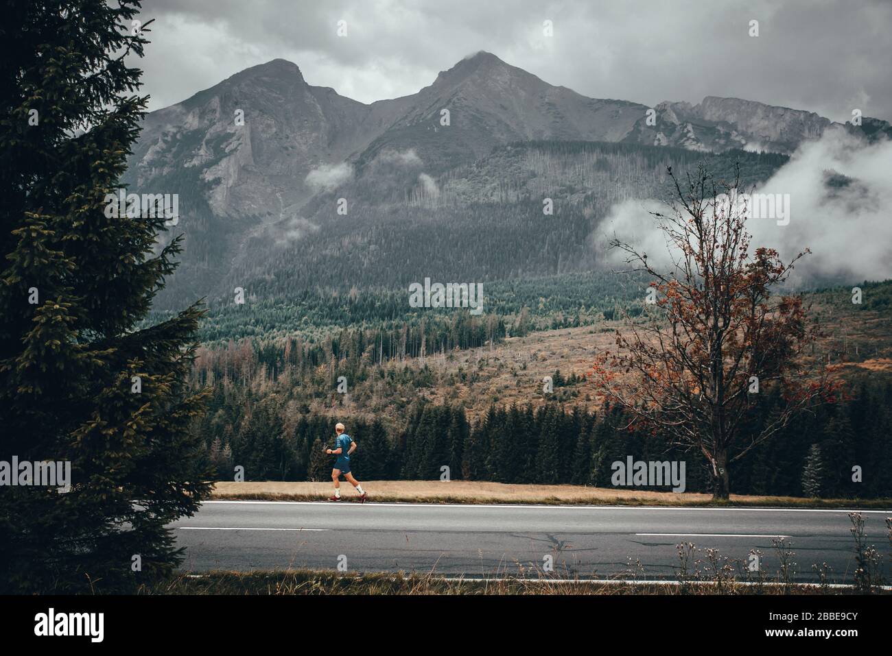 Morgendlicher Lauf in der Landschaft der Herbstberge. Alpen im Hintergrund. Italien. Stockfoto