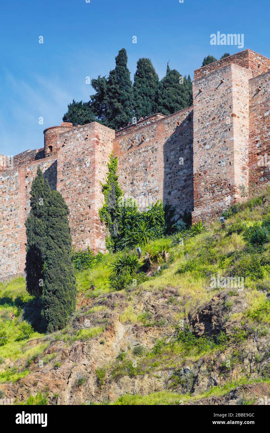 Málaga, Costa del Sol, Provinz Málaga, Andalusien, Südspanien. Mauern des maurischen Alcazaba. Stockfoto