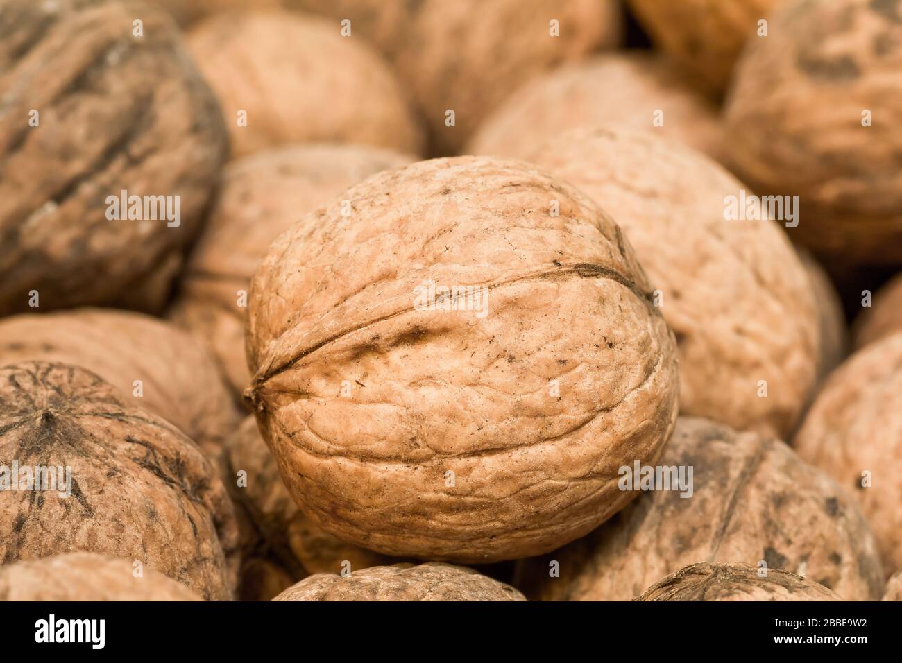 Viele schmutzige Walnüsse im Haufen Stockfoto